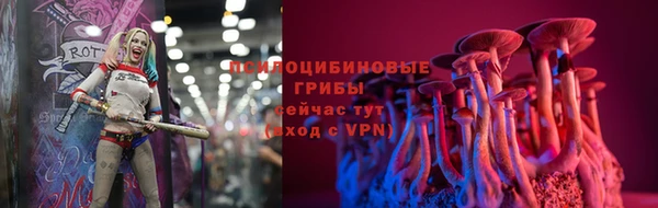 гидра Киреевск
