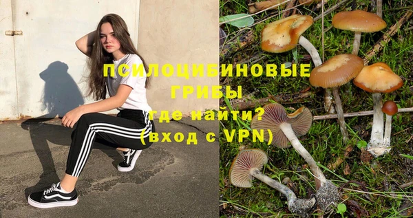трава Козловка