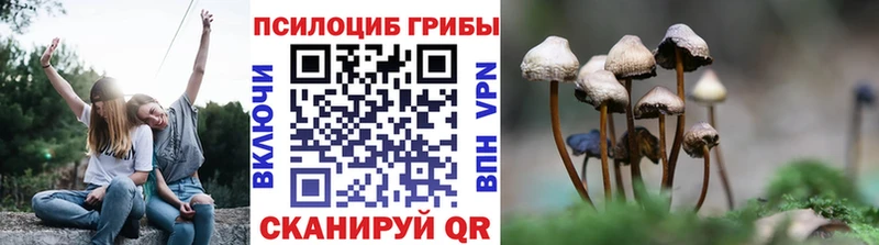 Галлюциногенные грибы прущие грибы  Купить где  Кондопога 