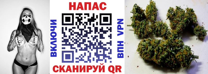 Купить закладки  Кондопога  Бошки марихуана индика 